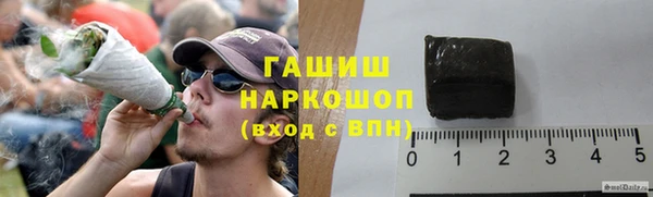 индика Богородицк